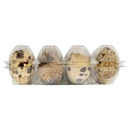 12 Uova Fresche di Quaglia